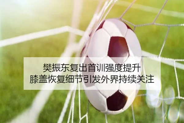 樊振东复出首训强度提升 膝盖恢复细节引发外界持续关注